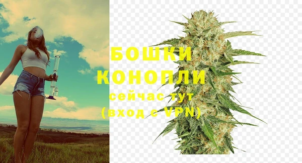 винт Бородино