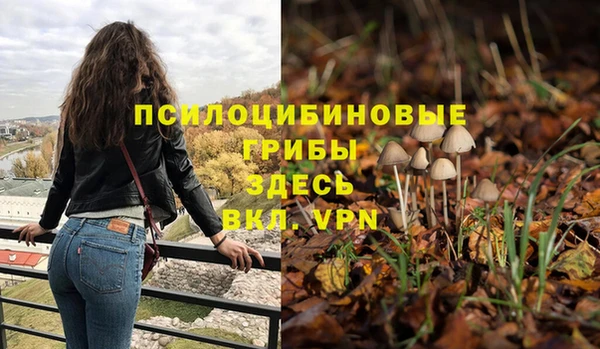 гидра Верхний Тагил