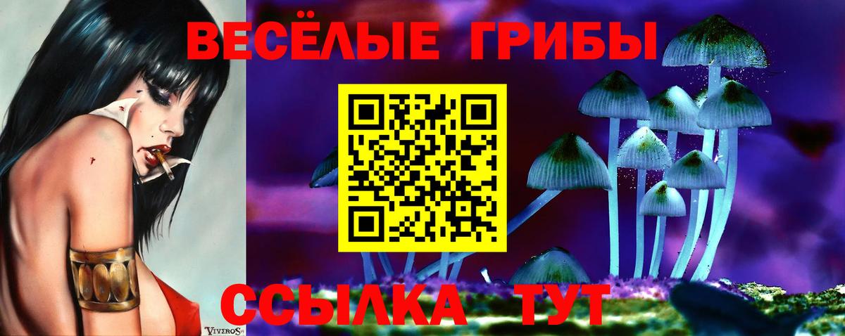 Галлюциногенные грибы Psilocybe  наркошоп  Верхняя Пышма  Вход с VPN  Псилоцибиновые грибы мицелий 